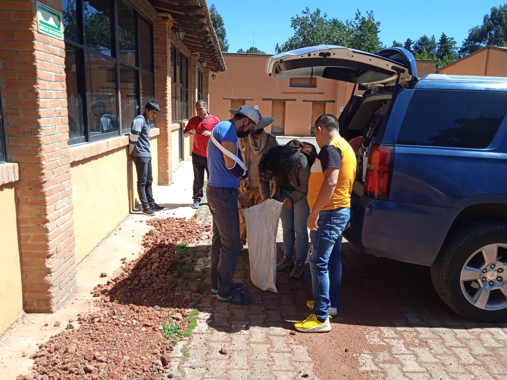 "Capturan a serpiente en calles de Toluca" | Especial.