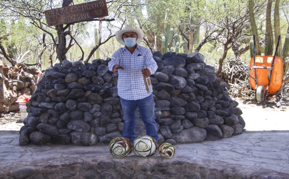 Mezcaleros denuncian uso de avionetas para ahuyentar lluvias | Melanie Torres