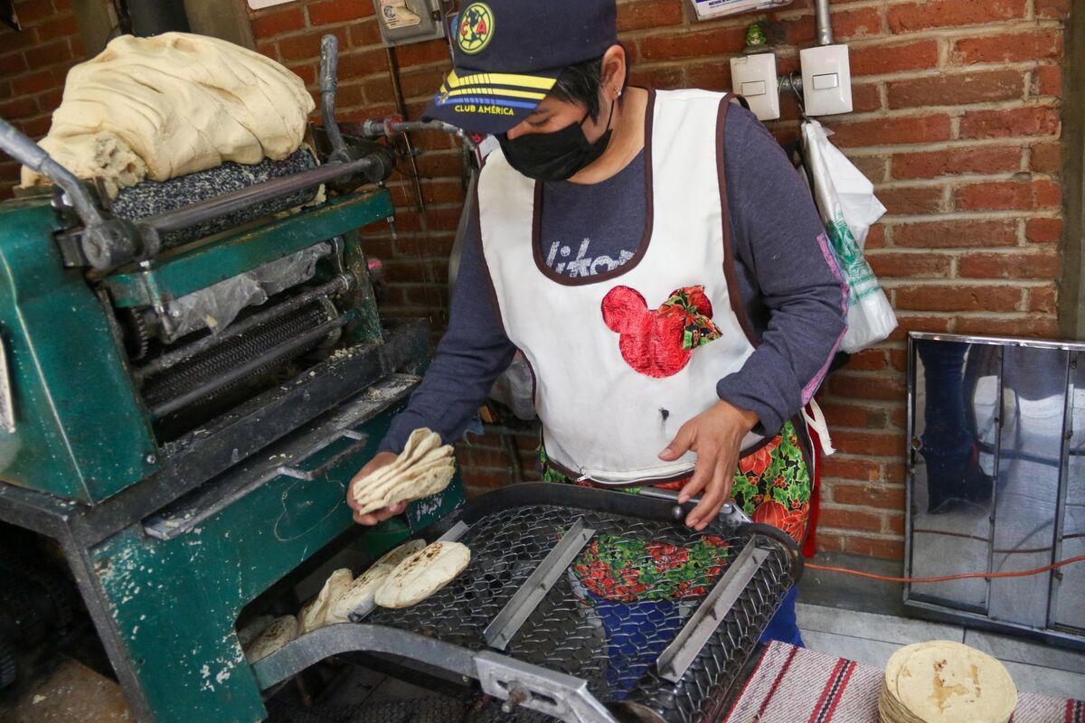 El precio de la tortilla sigue a la alza por el incremento en el precio de los insumos. (Cuartoscuro)