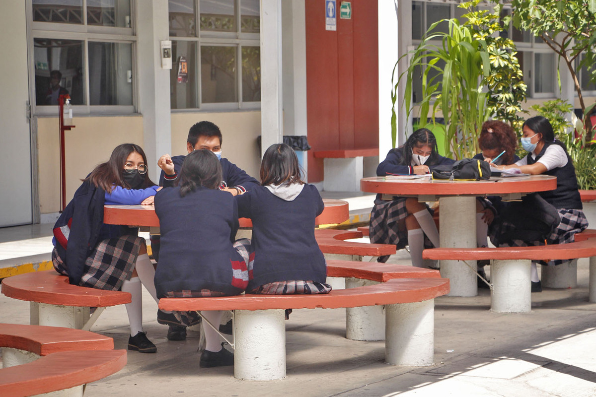Padecen 30% de estudiantes fobia social; también miedo y ansiedad | Melanie Torres