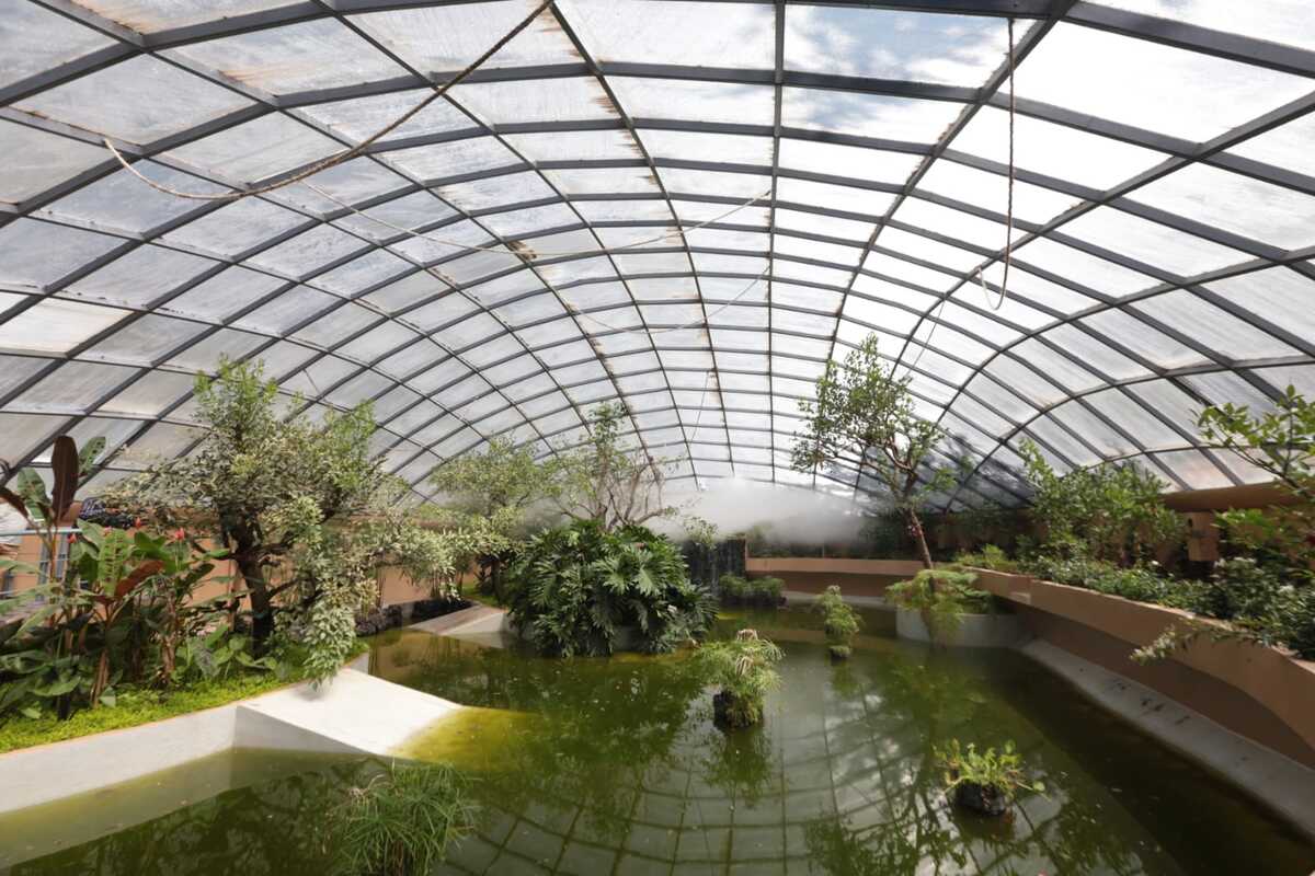 la selva