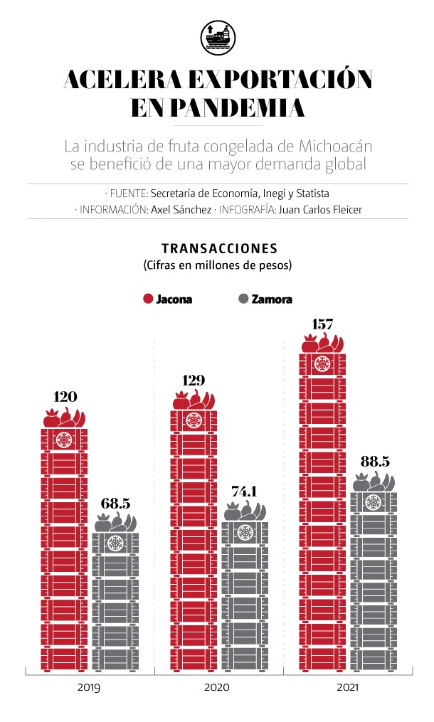 exportaciones de frutas congeladas