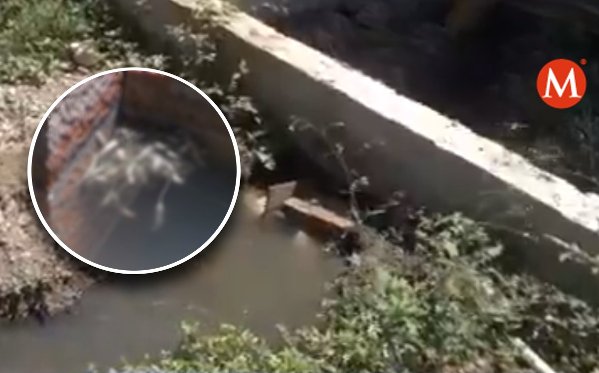 Vecinos reportan fugas de aguas negras en Victoria hasta con lombrices