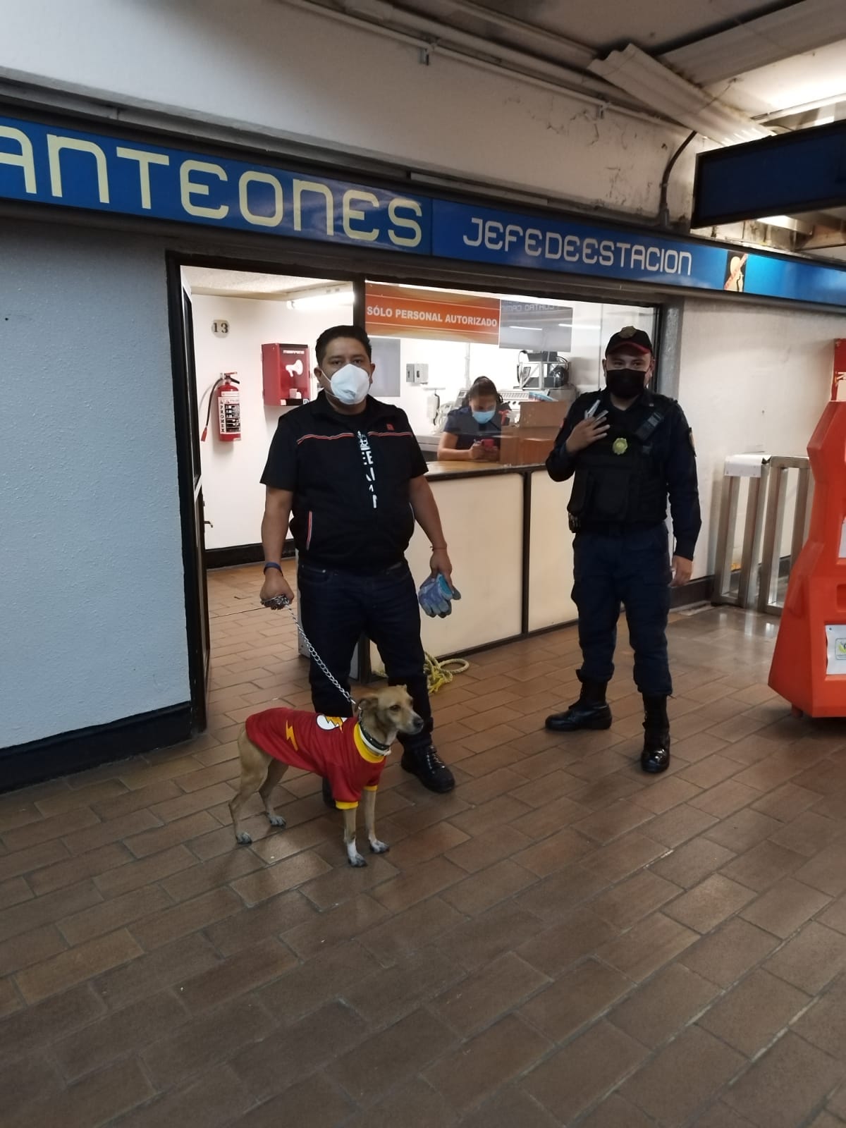 Cachorro 'Flash' rescatado en el Metro de la CdMx