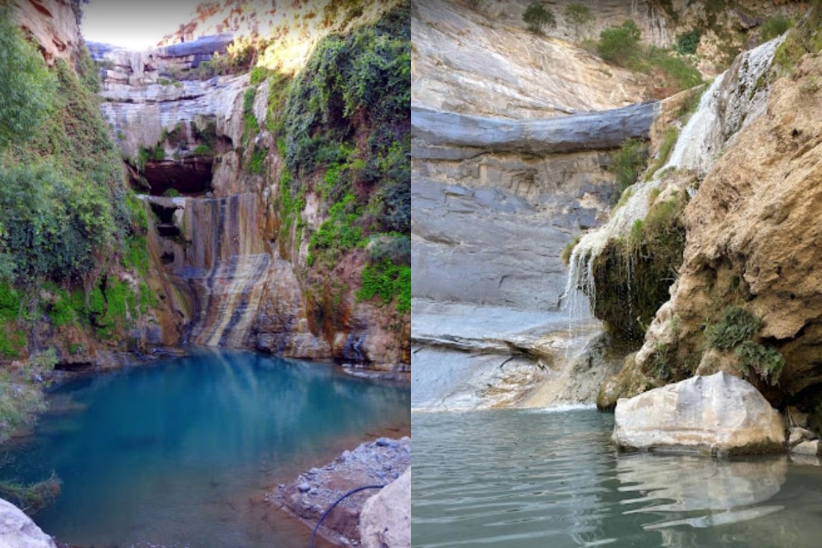 El Chiflón es un oasis en el desierto rodeado de vegetación de matorral espinoso. | Cortesía