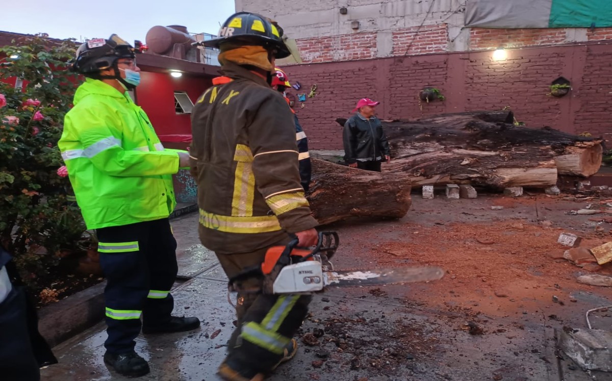 Elementos de bomberos retiraron el pesado árbol de la vivienda. | Enrique Luna