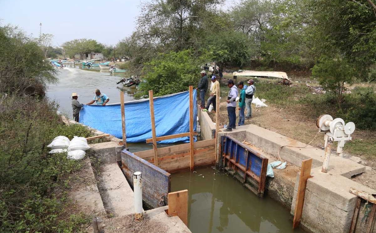 Agua salada en hogares del sur de Tamaulipas podría repetirse