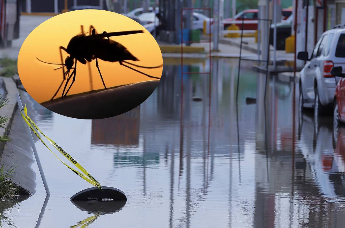Autoridades siguen entregando insecticida casa por casa. (Manuel Guadarrama)