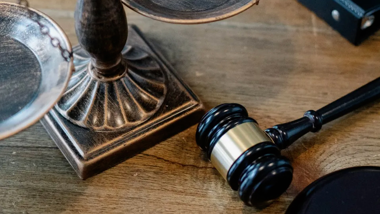 Inicia juicio por maltrato animal en Querétaro; es el primero en México