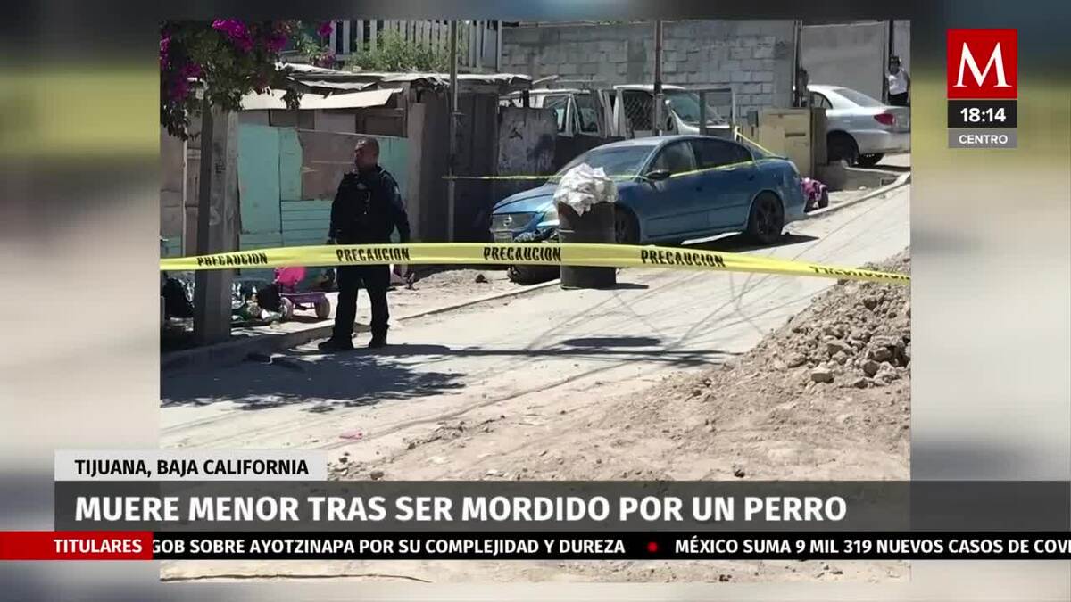 Menor muere tras ser mordido por un pero en BC