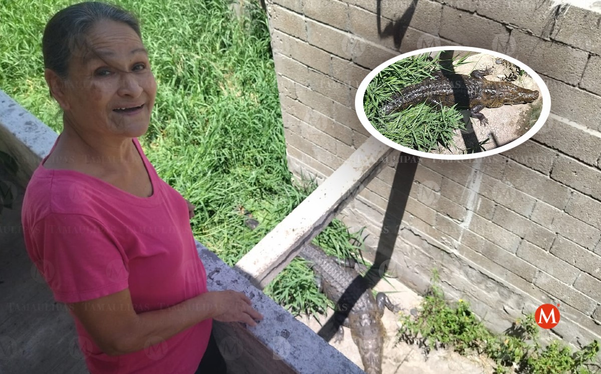Familia tiene a cocodrilo como mascota en Ciudad Madero. (Pablo Reyes)