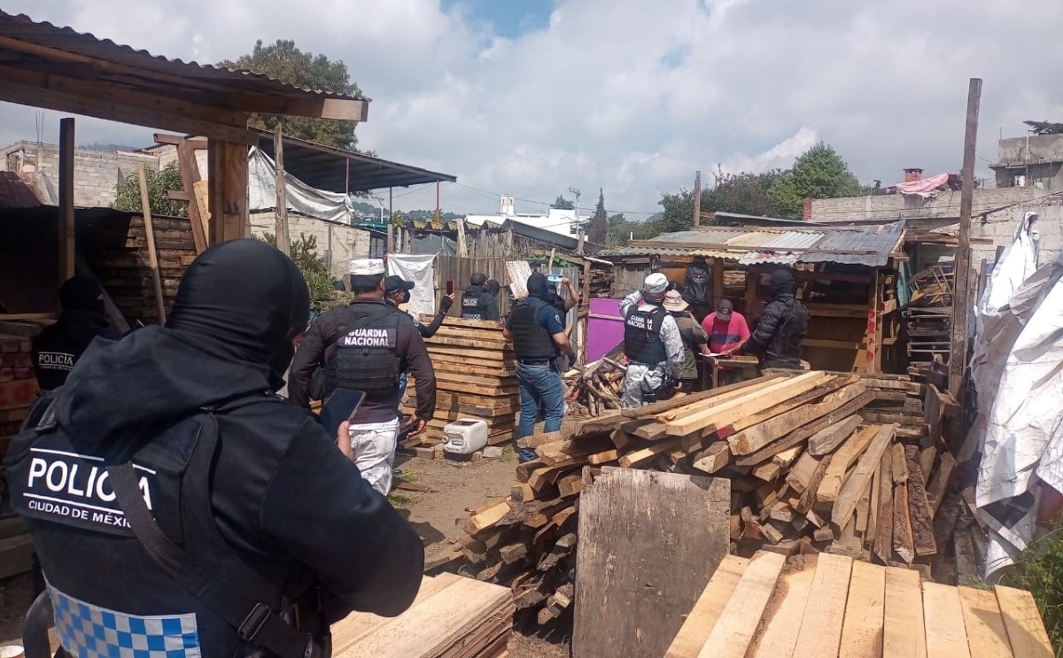 El operativo ocurrió en un área natural protegida de Tlalpan. | Especial