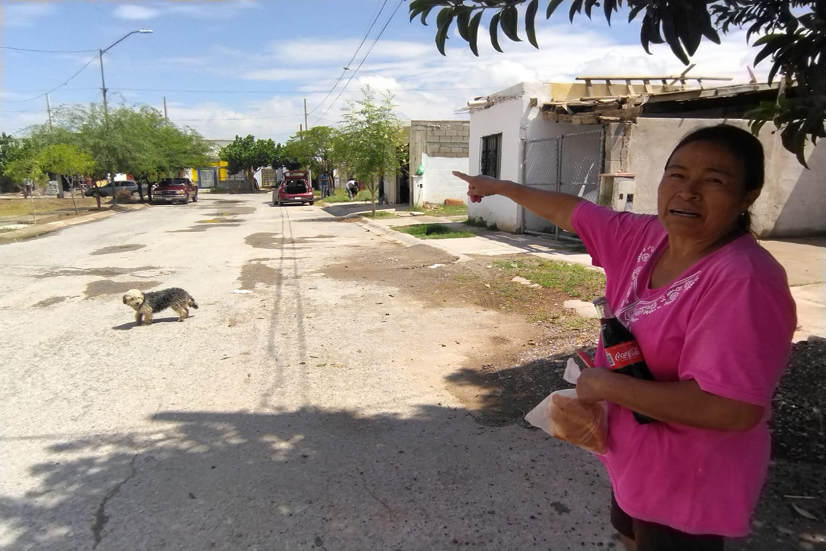 Reportan plagas de garrapatas y roedores en Matamoros. | Especial