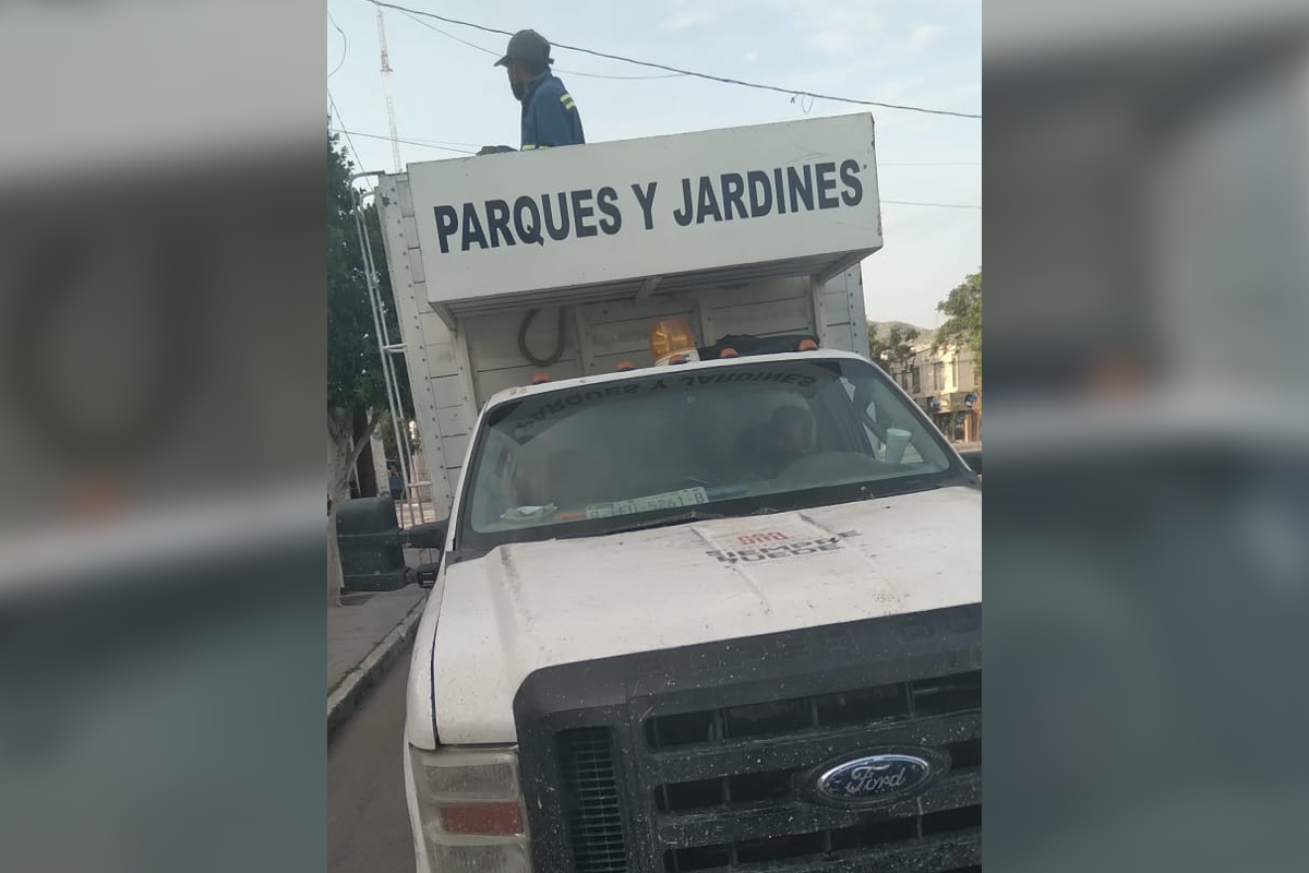 Torreón Camión de Parques y Jardines provoca accidente y huye Grupo Milenio