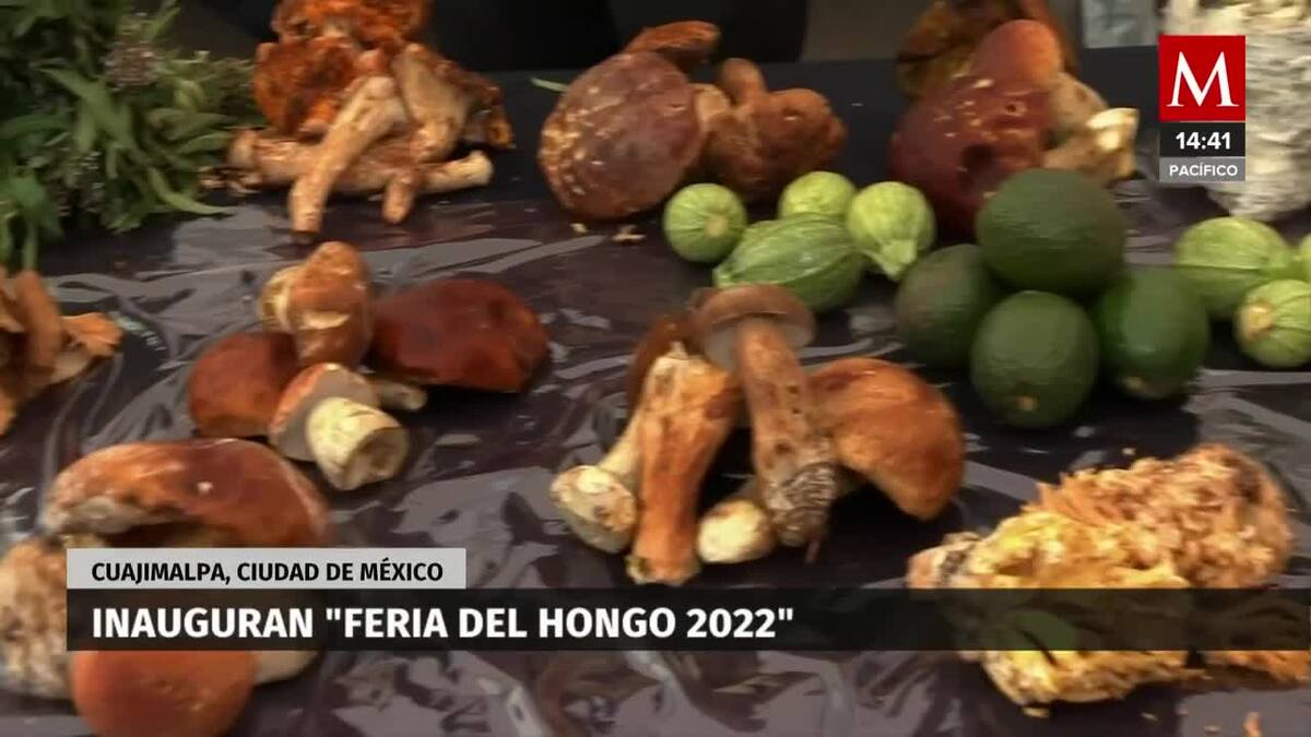Inauguran feria del hongo en Cuajimalpa, CdMX