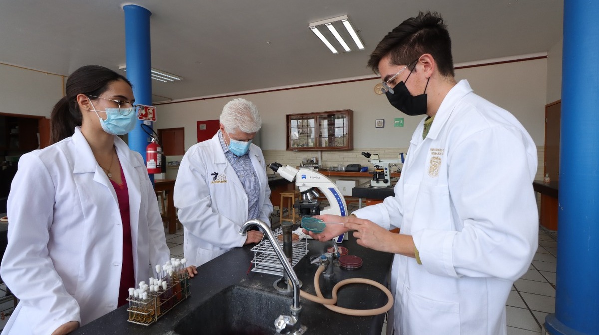 UG responde a problemáticas sociales con su capacidad de investigación