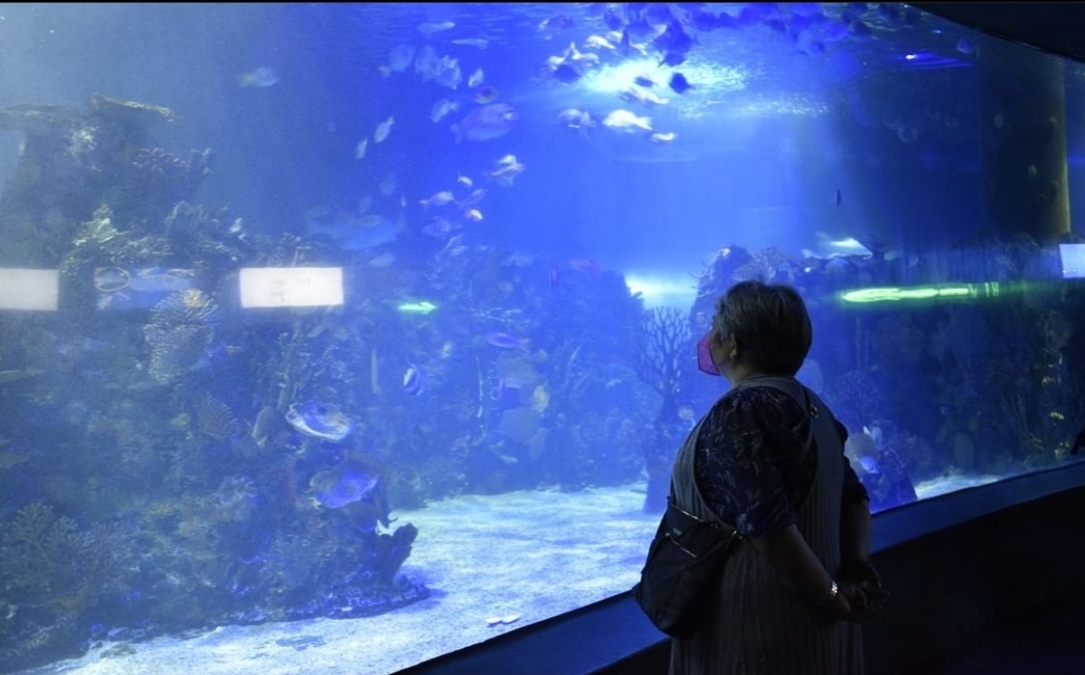 Acuario Inbursa CDMX México