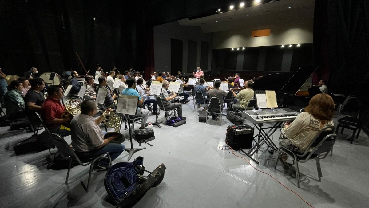 Camerata de Coahuila presentará la suite El lago de los cisnes. (Especial)