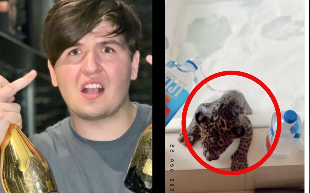 Fofo Márquez presume cómo baña a su leopardo con agua Fiji y champagne; lo critican | ESPECIAL
