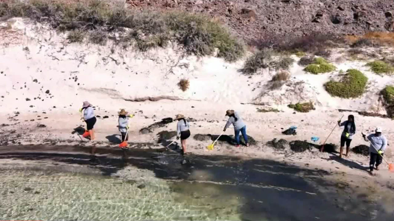 Tras incendio de yate, playa Balandra quedará lista en unos días: Gobernador de BCS