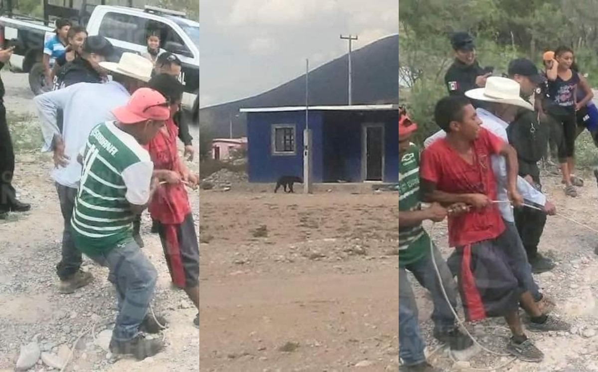 Un pequeño oso negro fue agredido y asfixiado por pobladores y policías. (Especial)
