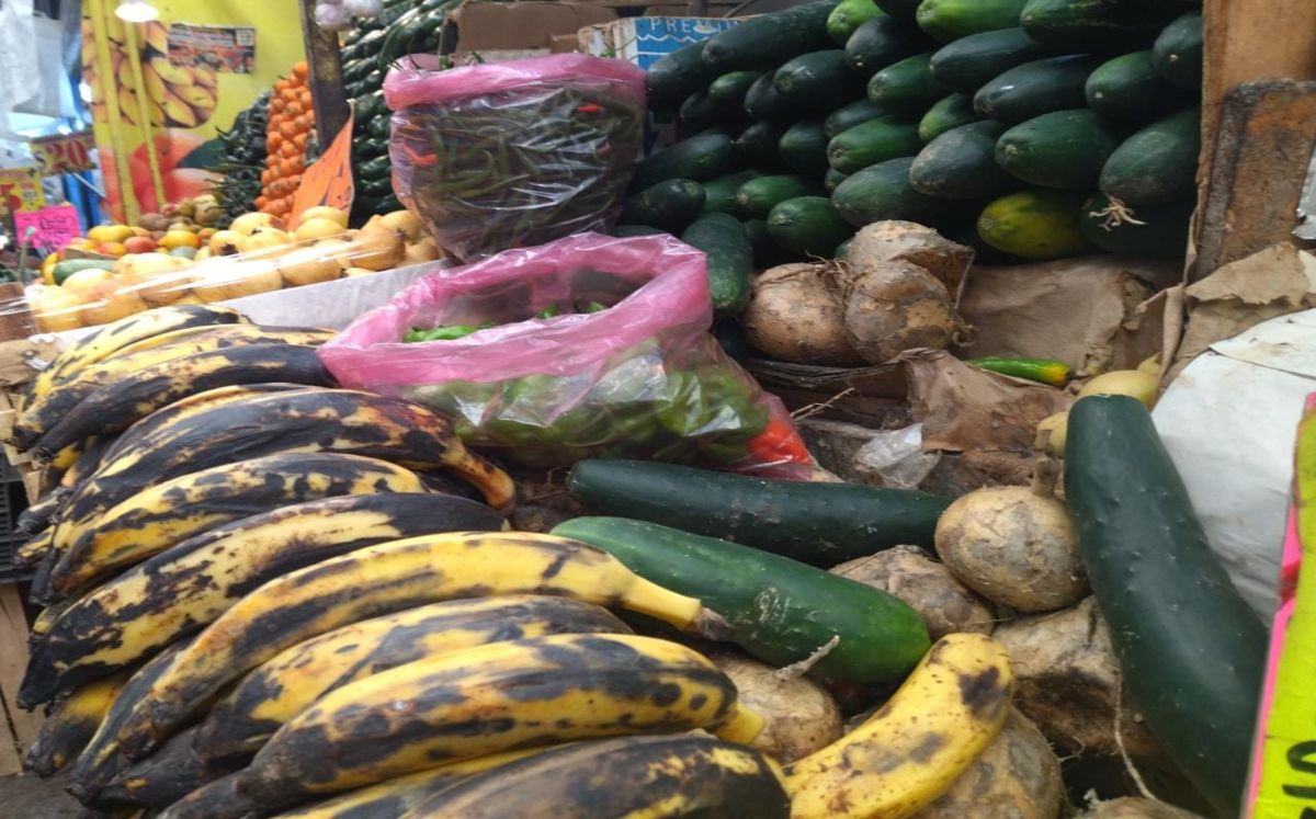 Bioeconomía, tendencia para nuevos negocios en Puebla | Jaime Zambrano