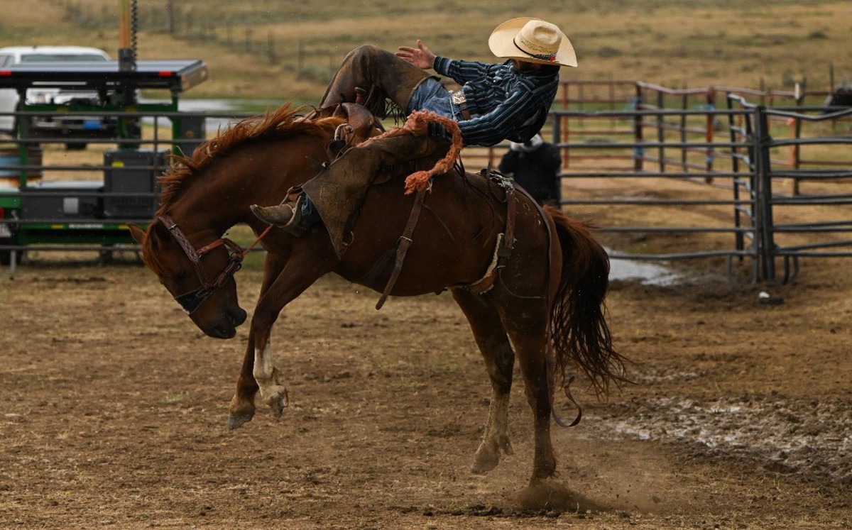 Cowboys buscan hablar de sus sentimientos.