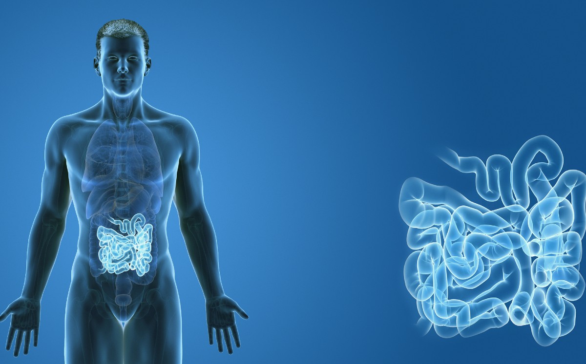 Conmociones cerebrales son detectables desde el intestino (Sutterstock).