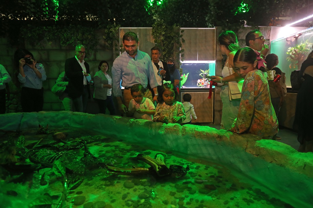 https://cdn.milenio.com/uploads/media/2022/08/26/acuario-tematico-inmersivo-mundo-publico-1.jpg