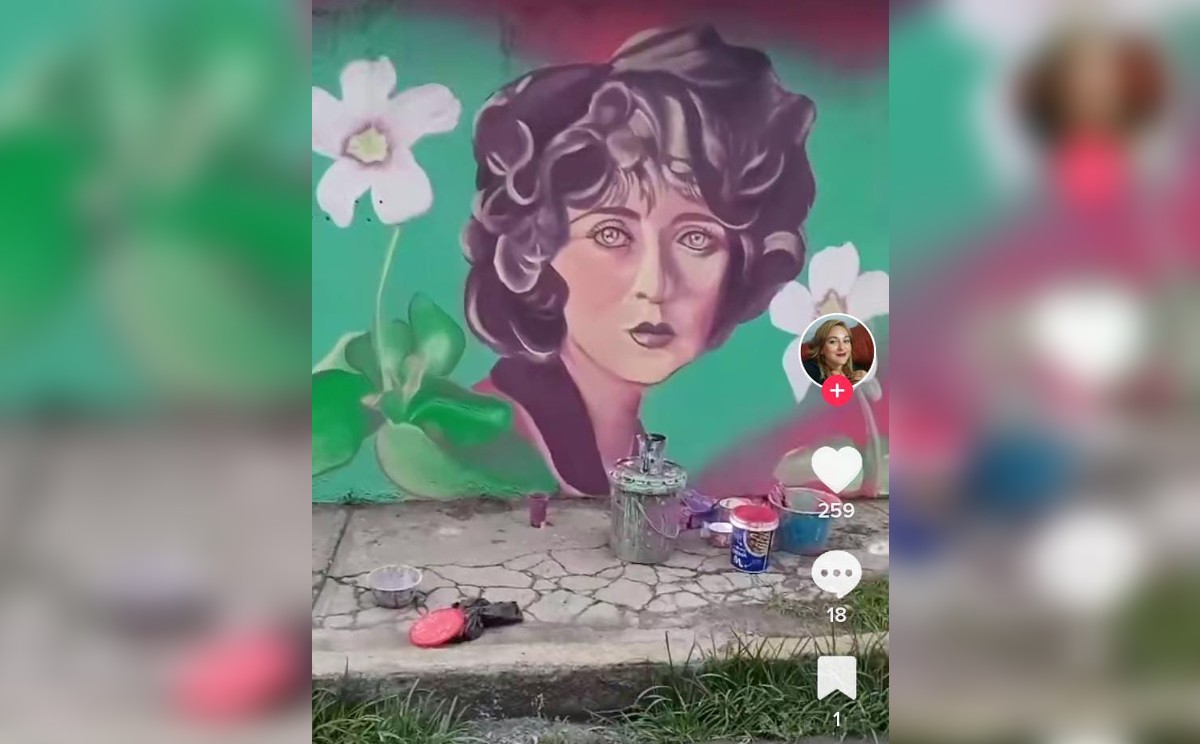"Se identifica como @arameu7 en TikTok" | Especial.