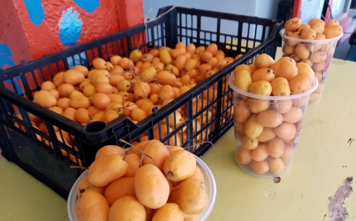 Venta de jobito y pulpa ayuda a venta de comerciantes en Pueblo Viejo