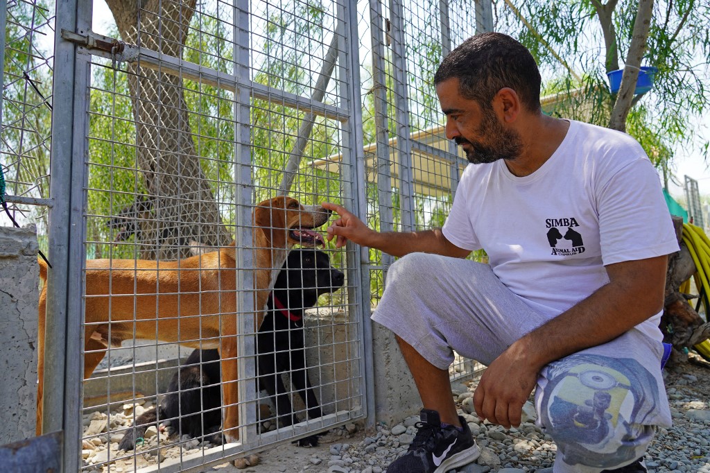 Muchos de los perros fueron adoptados durante la pandemia de covid-19 porque les permitía salir de sus casa. (AFP)
