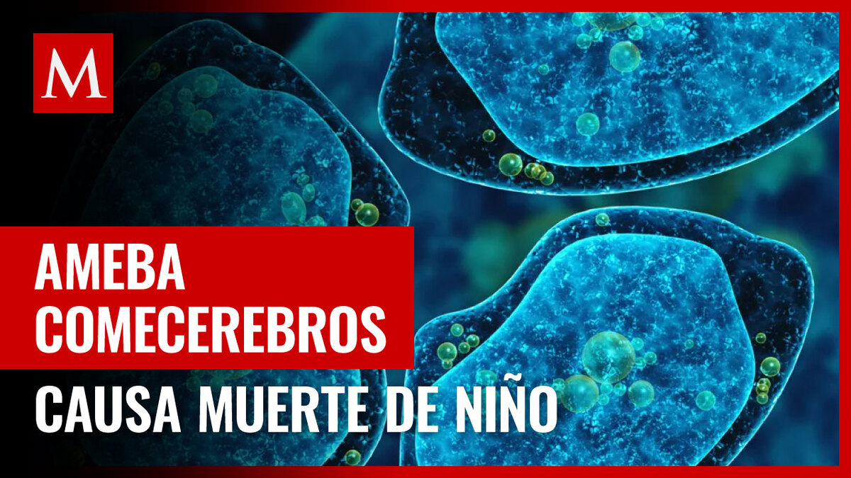 Ameba comecerebros mata a niño en Nebraska, EU