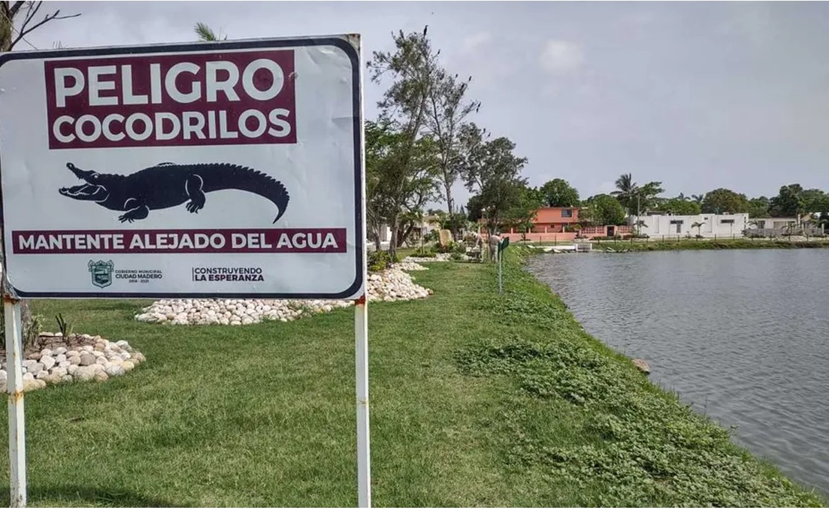 Se compromete sur de Tamaulipas a invertir recurso en tema cocodrilos