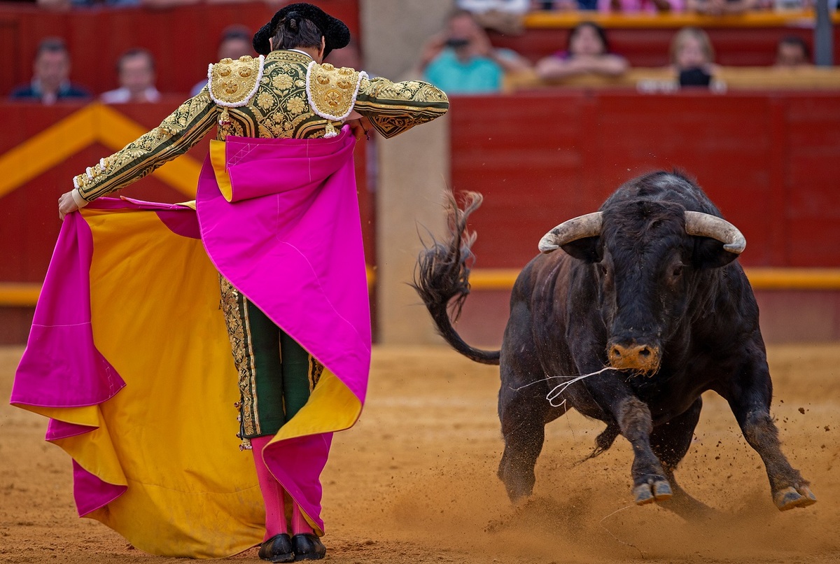 El torero fue herido cuando intentó matar al animal. | Shutterstock