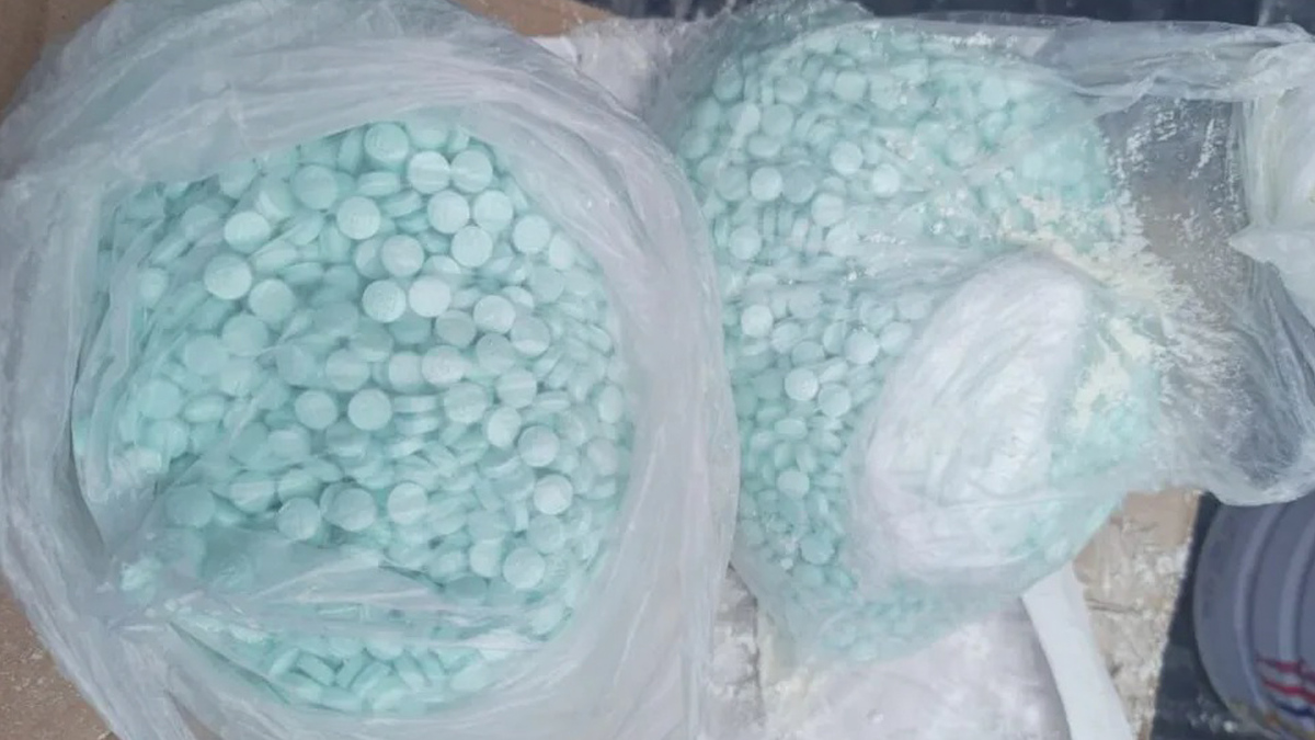Hallan pastillas de supuesto fentanilo en la terminal de Autobuses