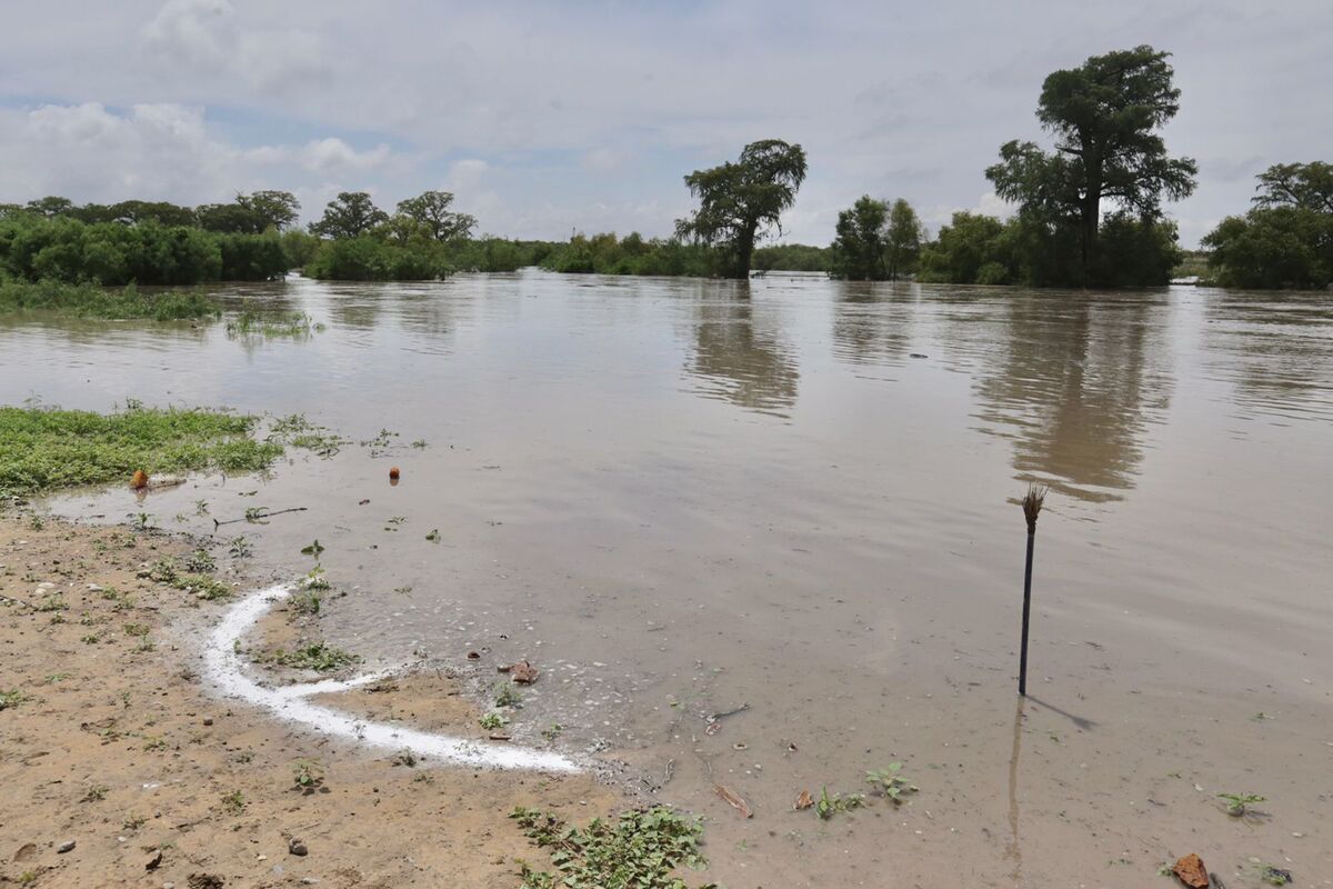 Debido a las lluvias, aumentó el nivel del Río Sabinas.  | Ariel Ojeda