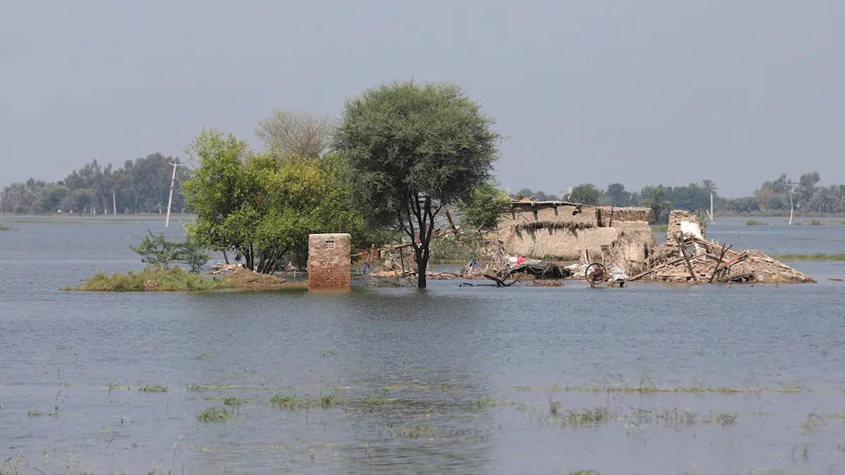 Mueren más de mil 200 personas en Pakistan debido a las fuertes lluvias