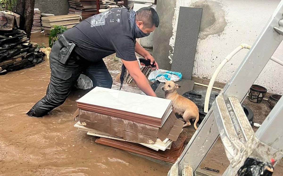 Se espera juntar lo equivalente a un camión. (Especial)