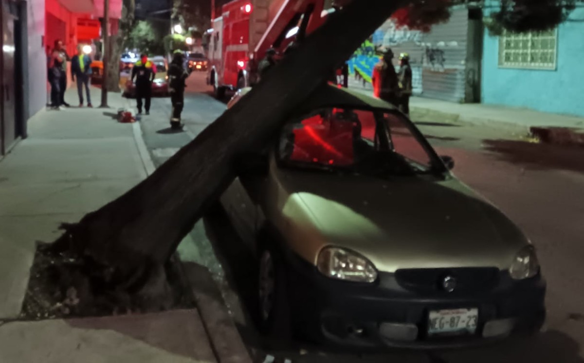Árbol cae sobre auto en CdMx | Enrique Luna