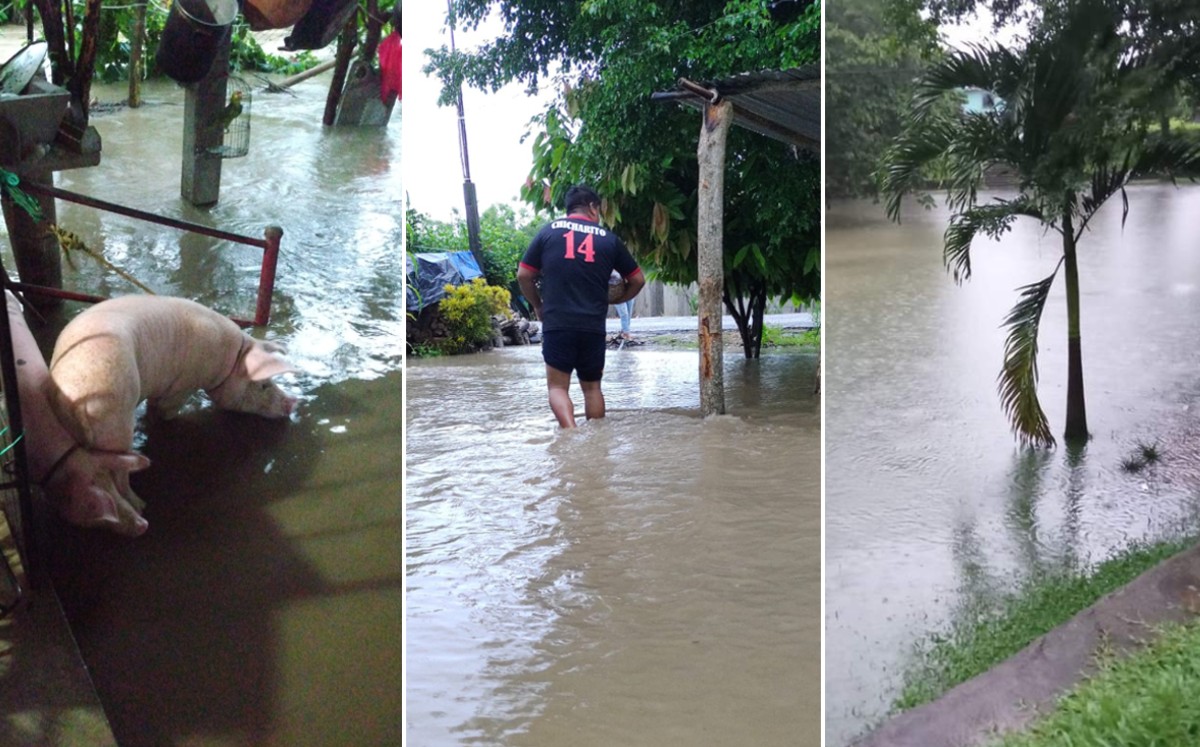 Inundaciones en Oaxaca | Carlos Abad
