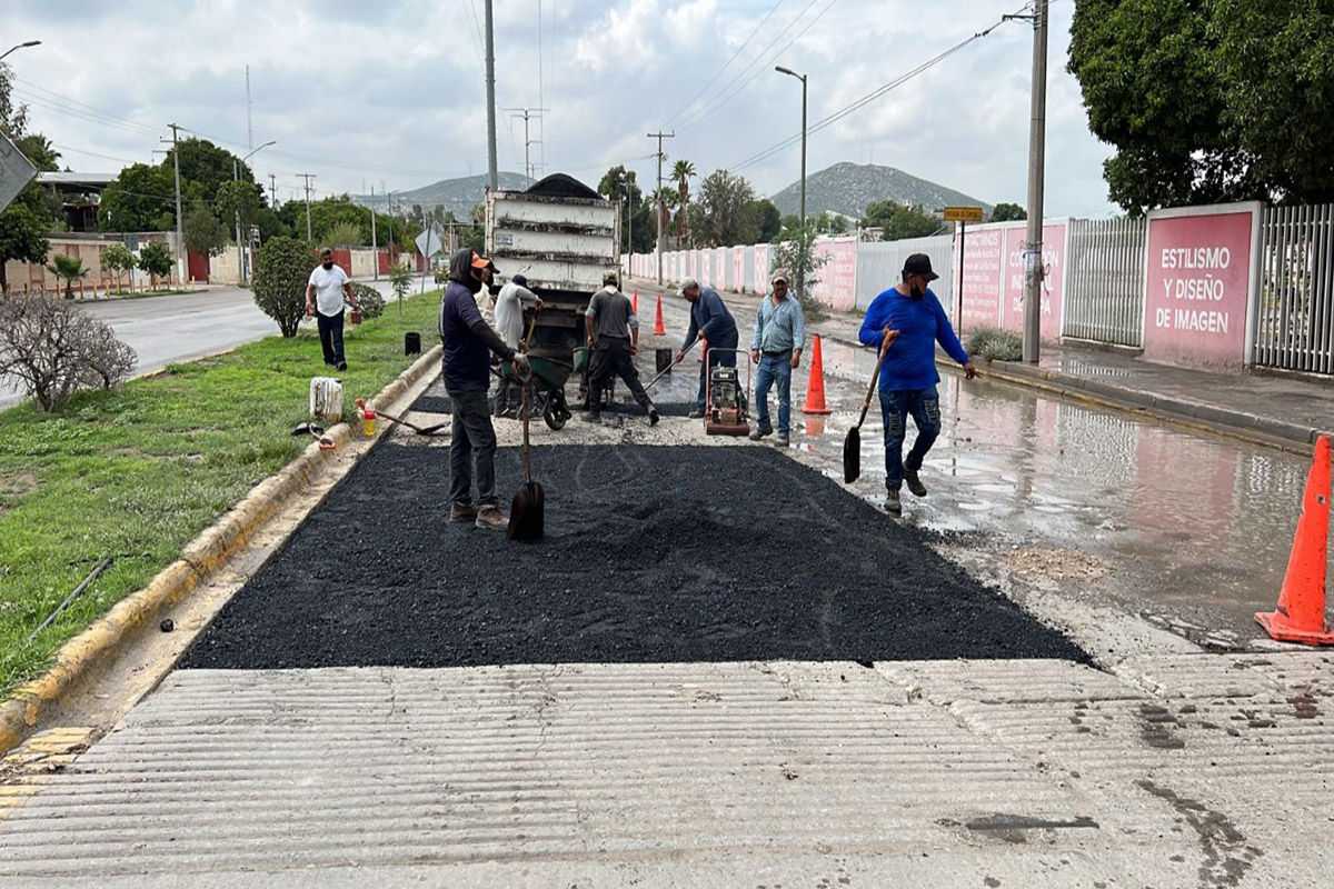 Baches