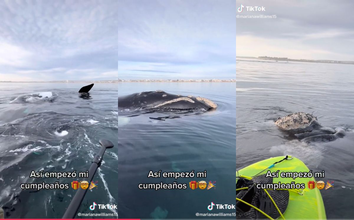Video se hizo viral (TikTok).