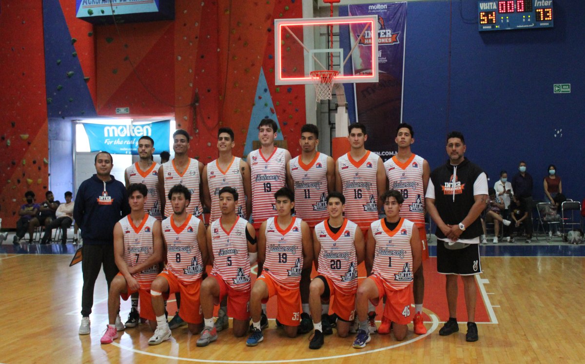 Halcones de la Inter | Especial