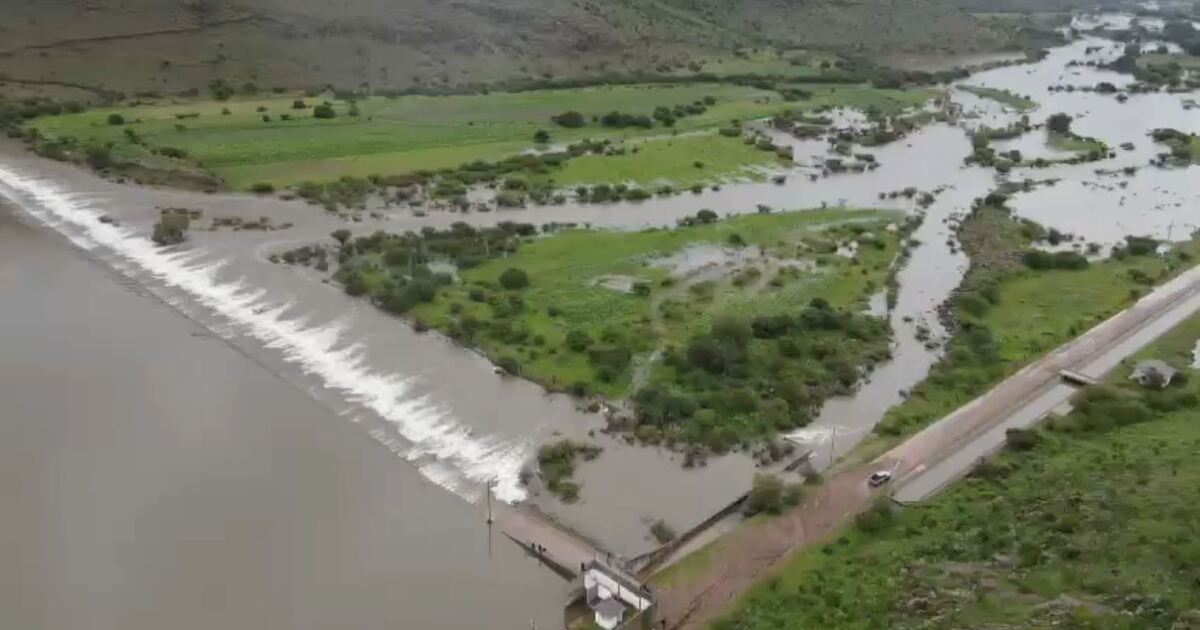 La proliferación del lirio acuático en el río Tunal sigue sin ser atendida de manera efectiva. (Especial)