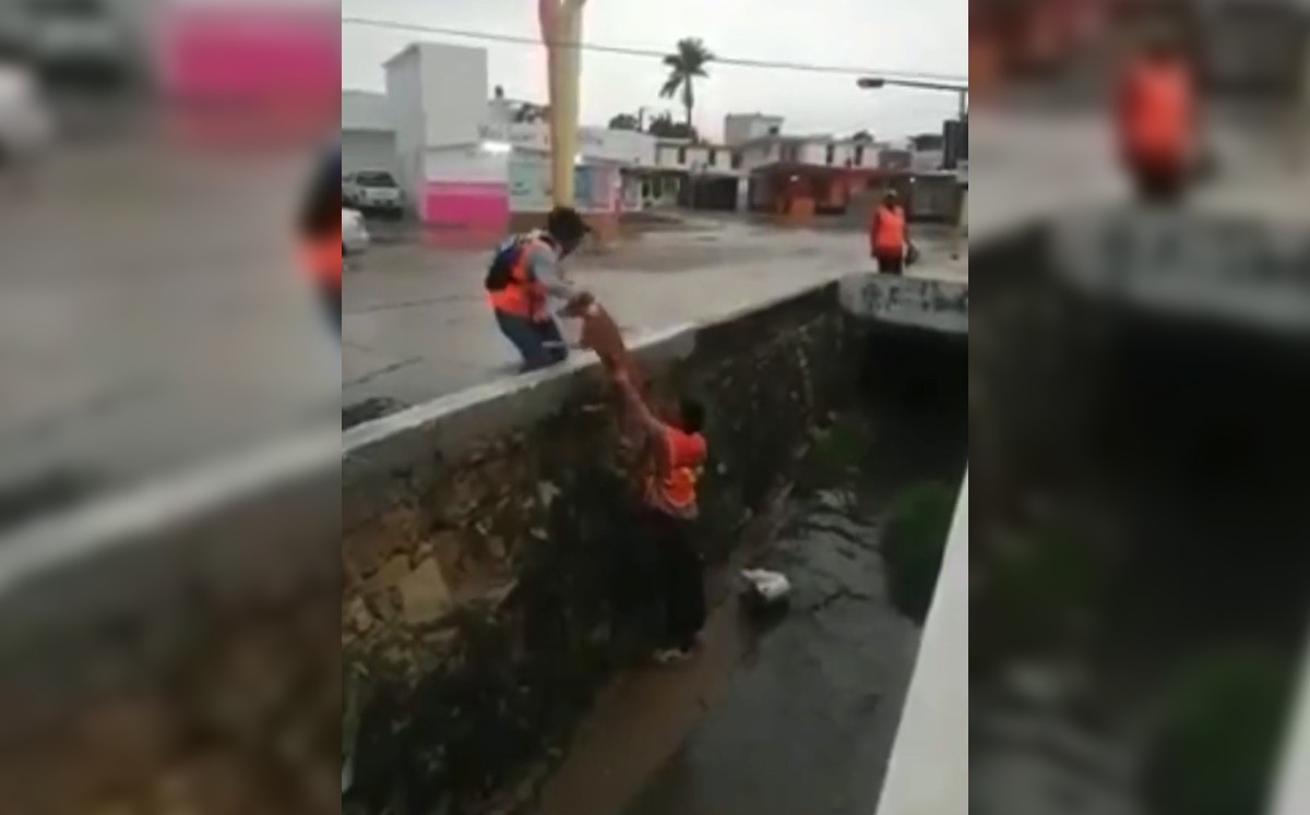 Rescatan a perro de canal en Tampico. (Secretaría de Servicios Públicos y Ecología Tampico)