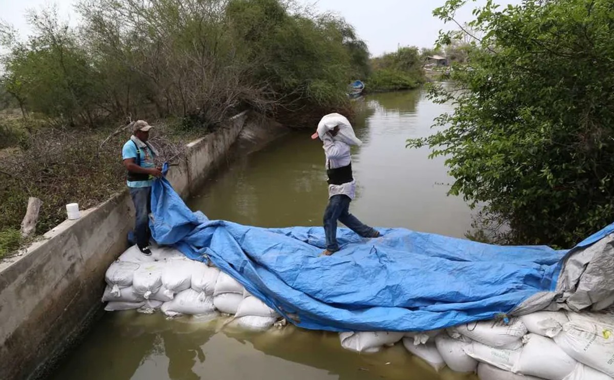 Adelantar inversión a camalote garantizará agua en sur de Tamaulipas