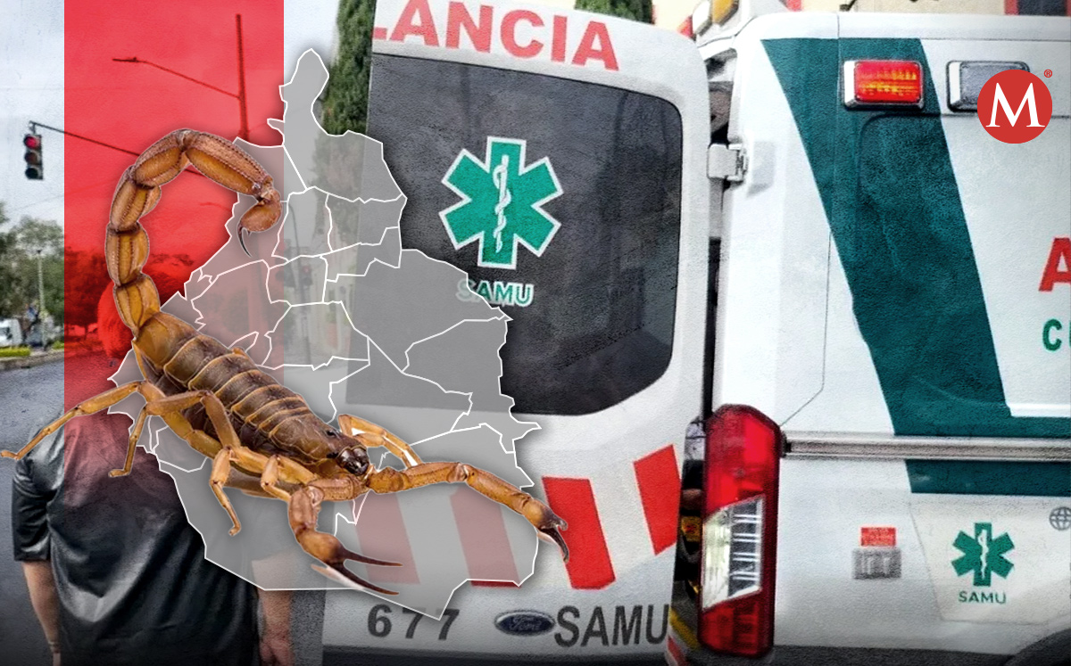 El alacrán estaba escondido en la mochila de la estudiante. | MILENIO