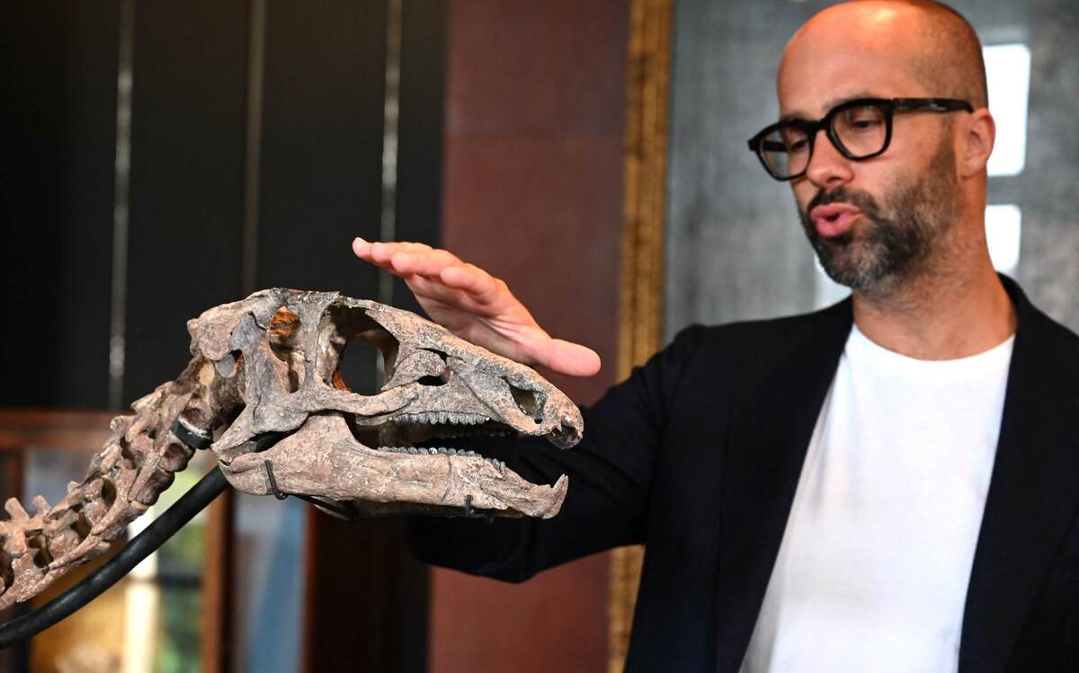 Esqueleto de dinosauiro