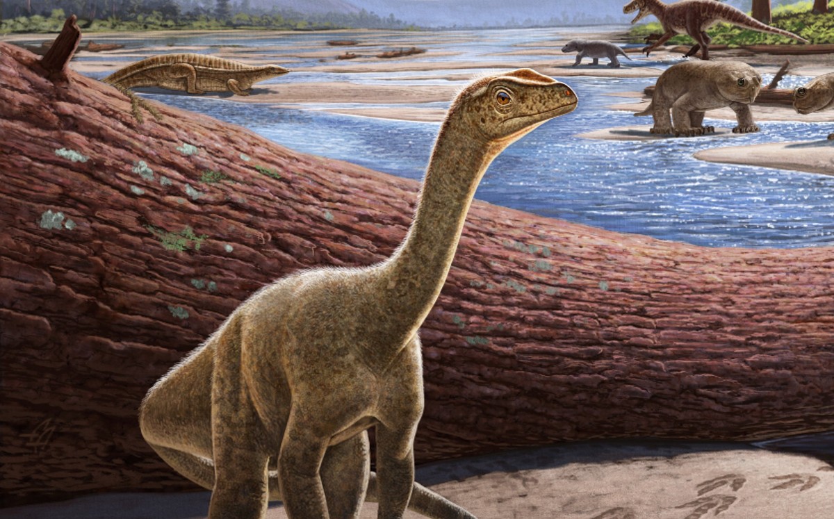 Imagen ilustrativa del dinosaurio | Nature
